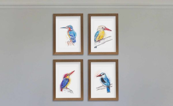 4 kingfishers